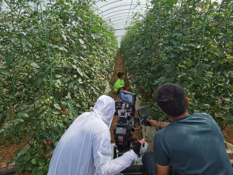 古县产品宣传视频拍摄公司进阶指南，助力品牌抢占传播高地